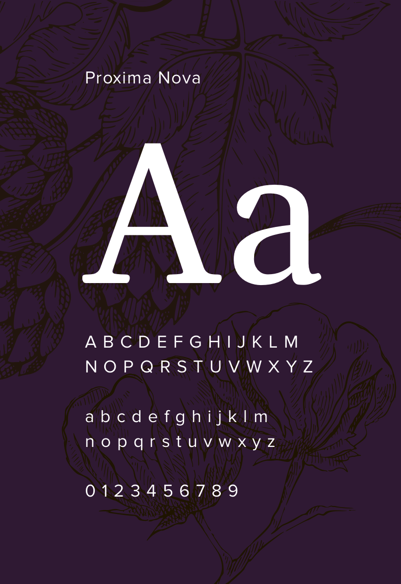 Banqu typography Proxima Nova font style